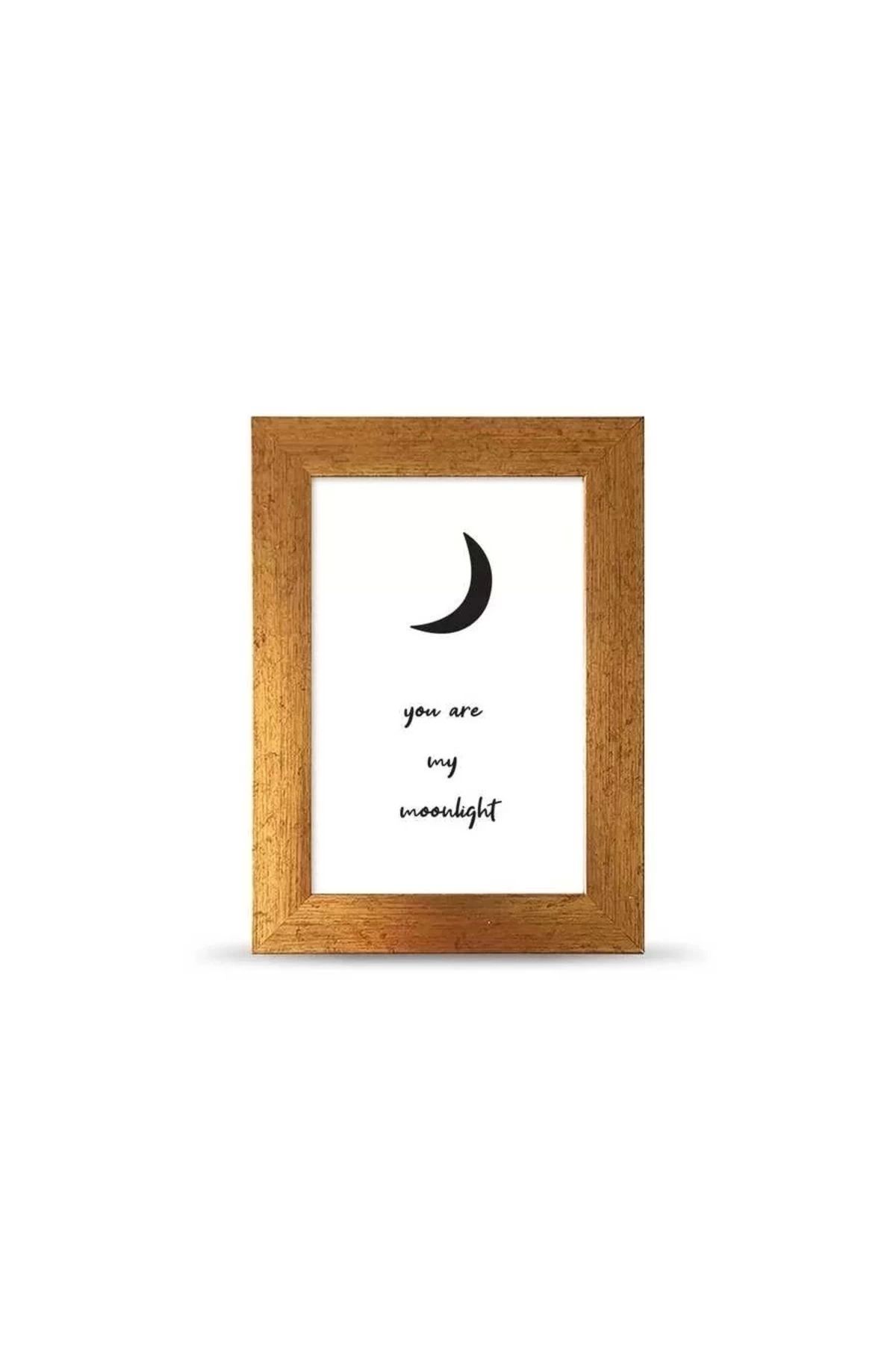bi'aldım-You Are Moonlight You Are Moon Light C?erc?eveli Banner Poster - 10x15 Cm Small Size 3