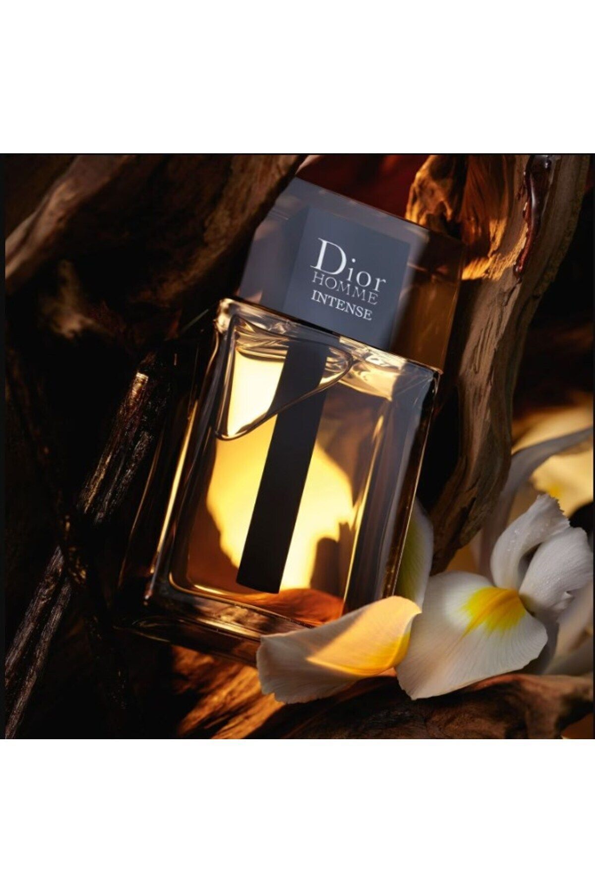 Dior-Homme Intense 50 ml - Generous and Powerful Eau De Parfum Shi̇nee139 2