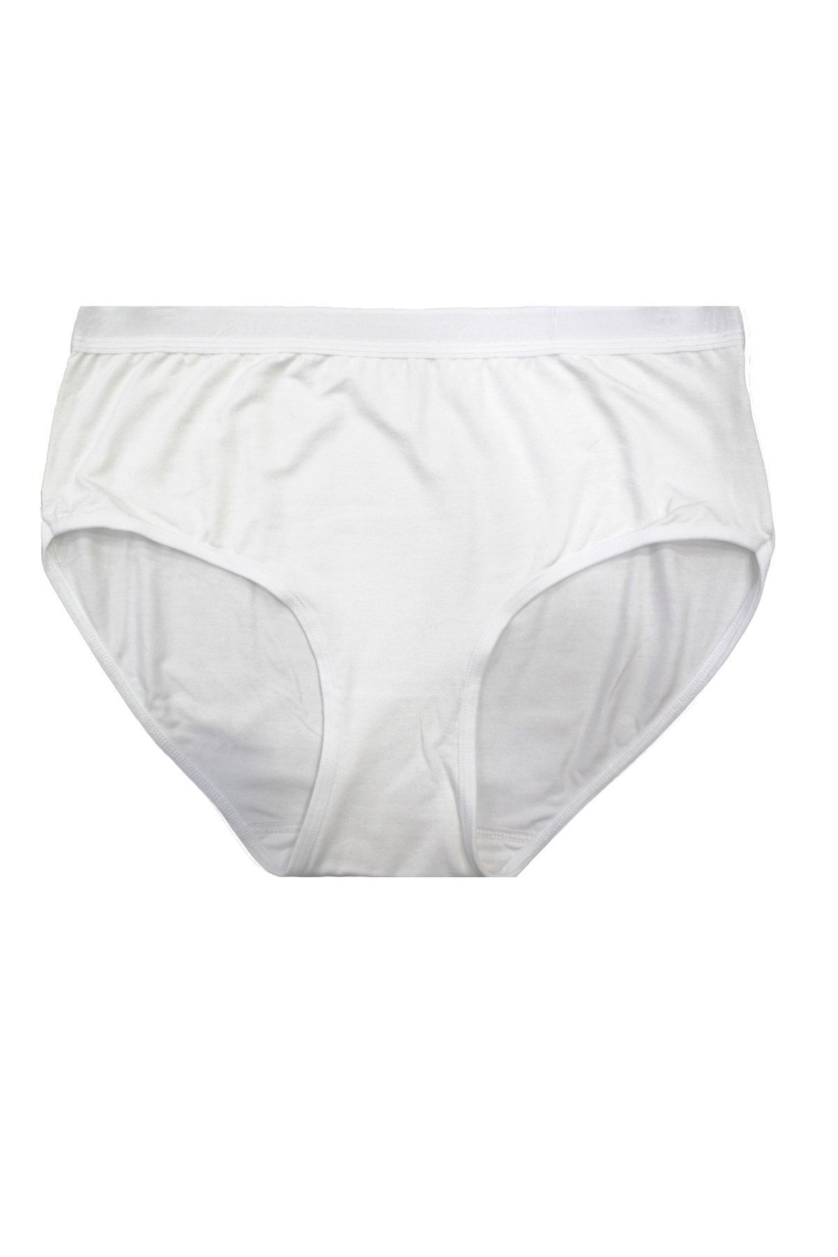 FSM1453-Women's Modal Thin Fabric High Waist Bato Slip Lycra Panties -3031 1