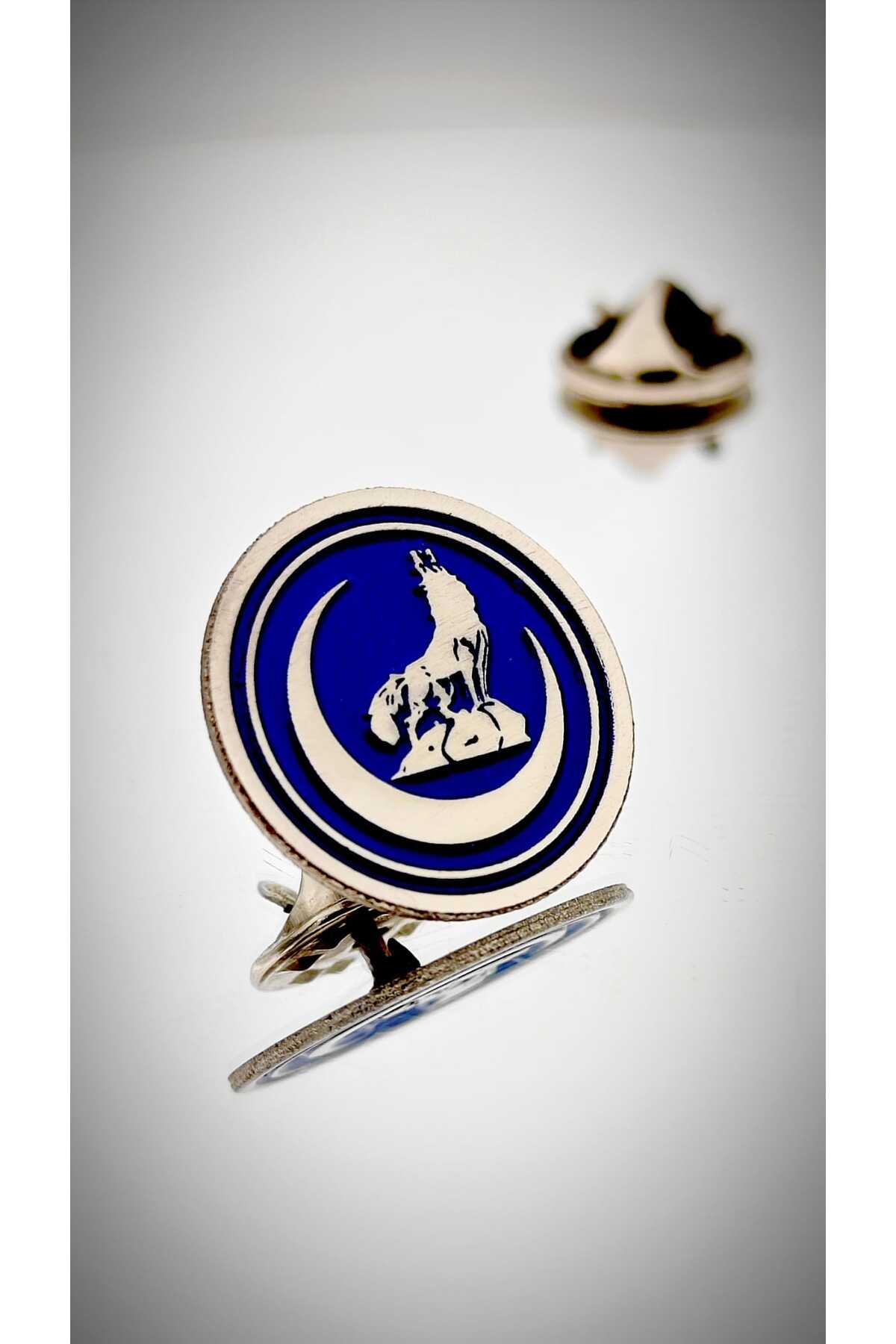 Nationalist Campaign Lapel Badge