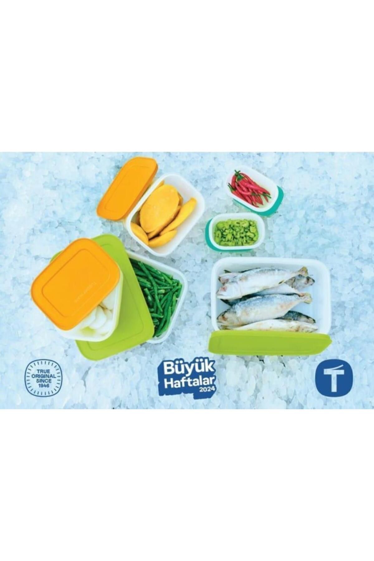 Tupperware-ALASKA Starter Set 2x1lt 2x450ml 2x170ml Deep Freezer Alaska Starter Set 3