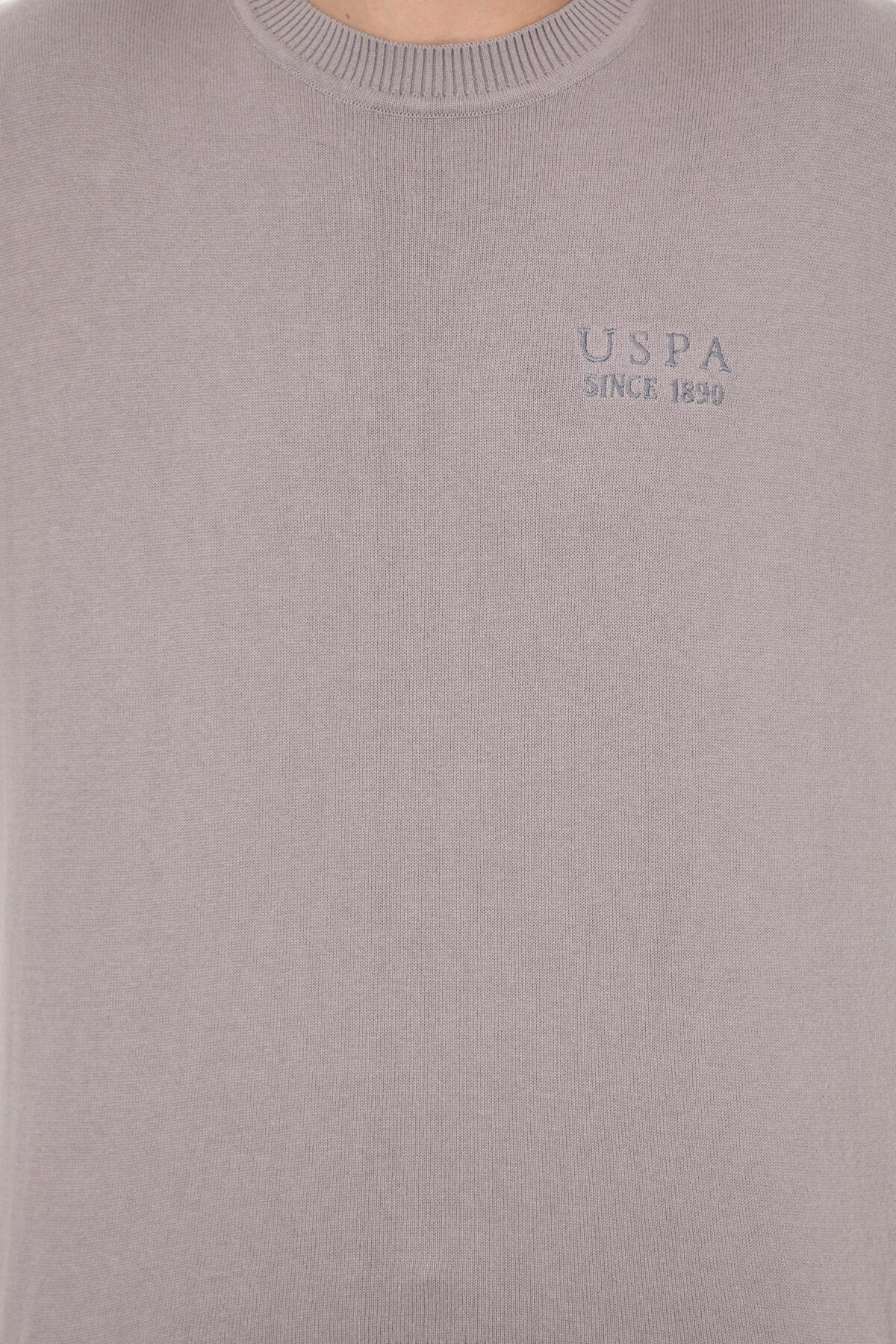 تی شرت مردانه یو اس پولو | 649819 U.S. Polo Assn. - Image 6