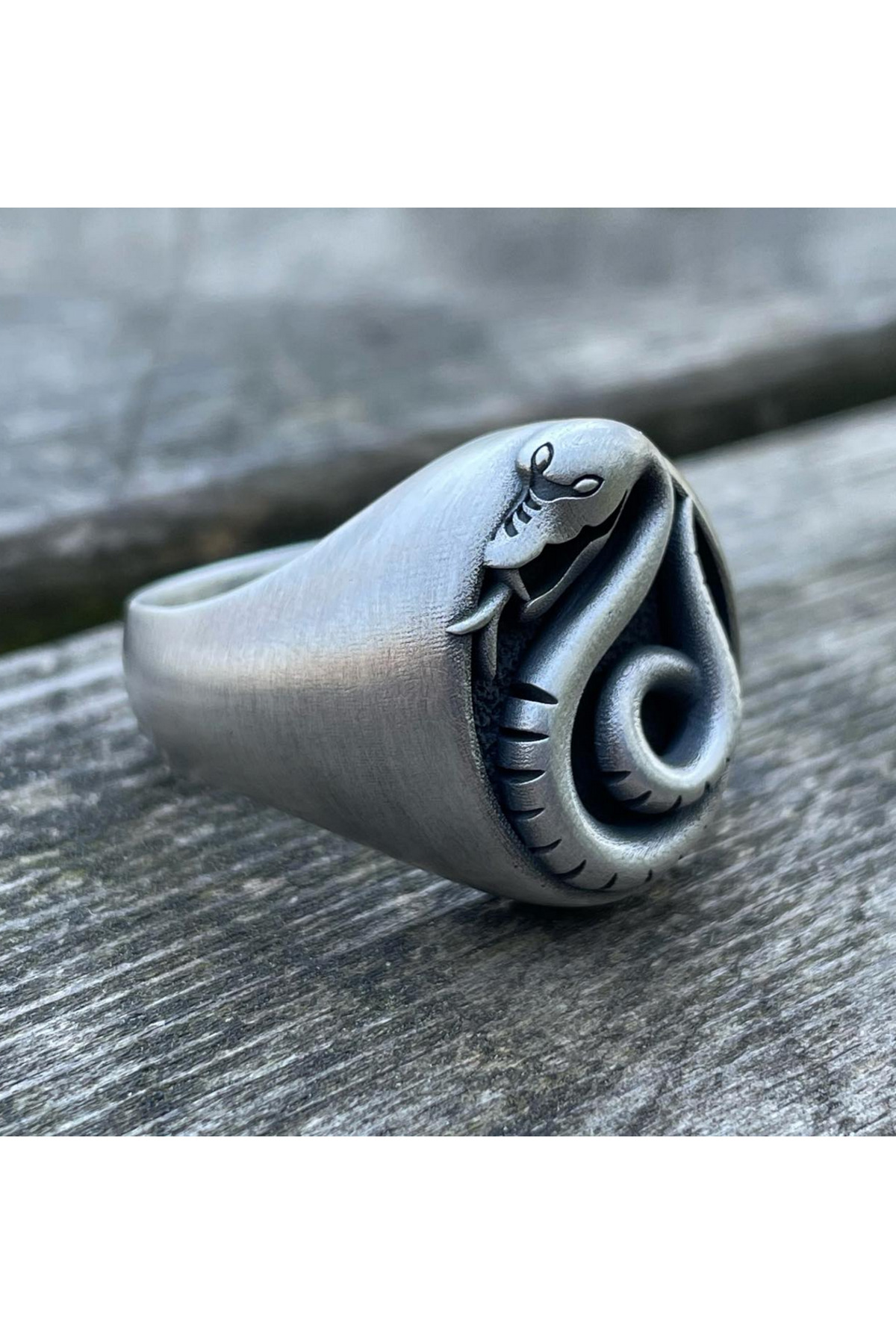 Abel Custom Ring Draco Malfoy Yüzük Fiyatı, Yorumları