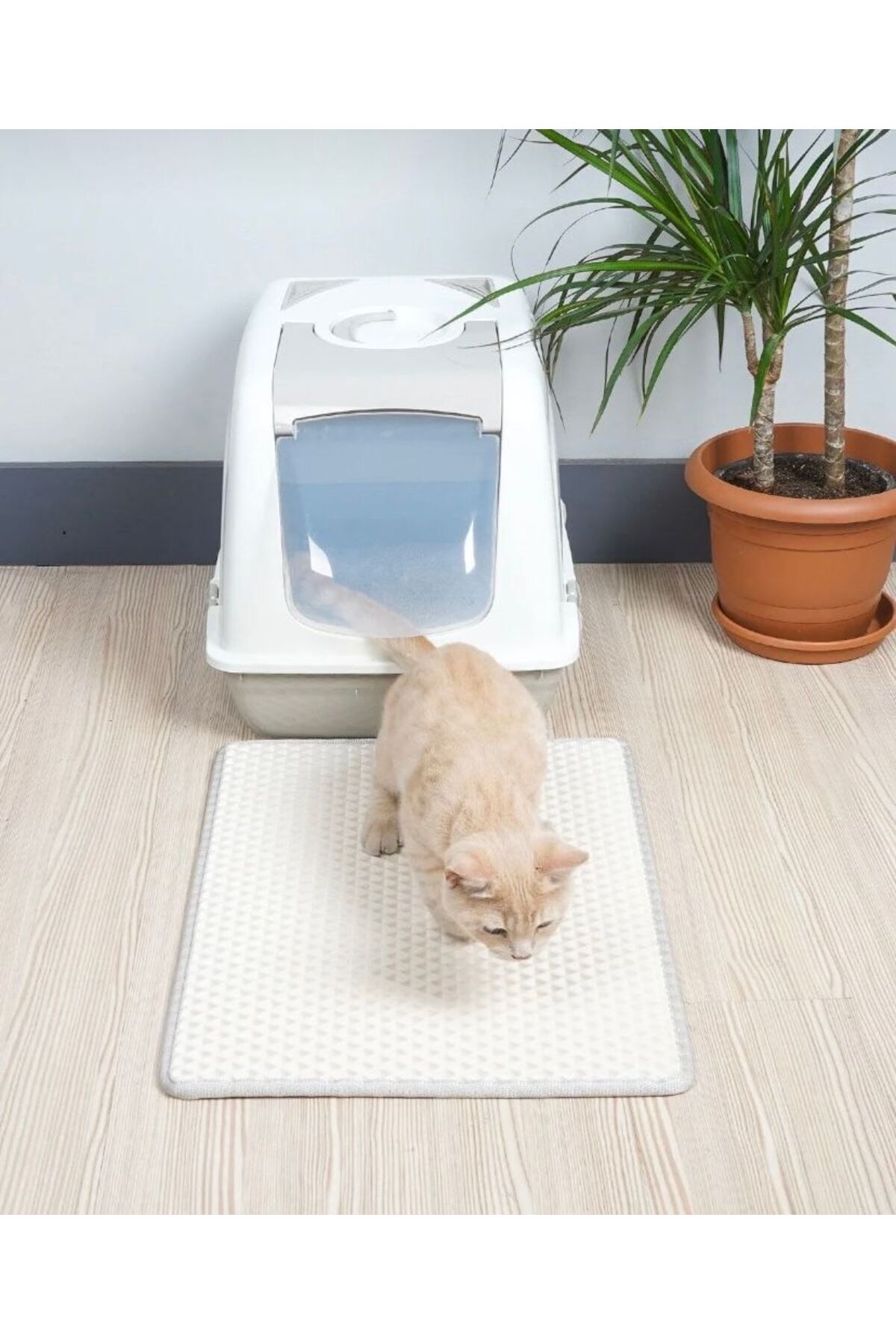 Kedi tuvaleti önü paspası kedi kumu paspası kedi matı (40:55)CM
