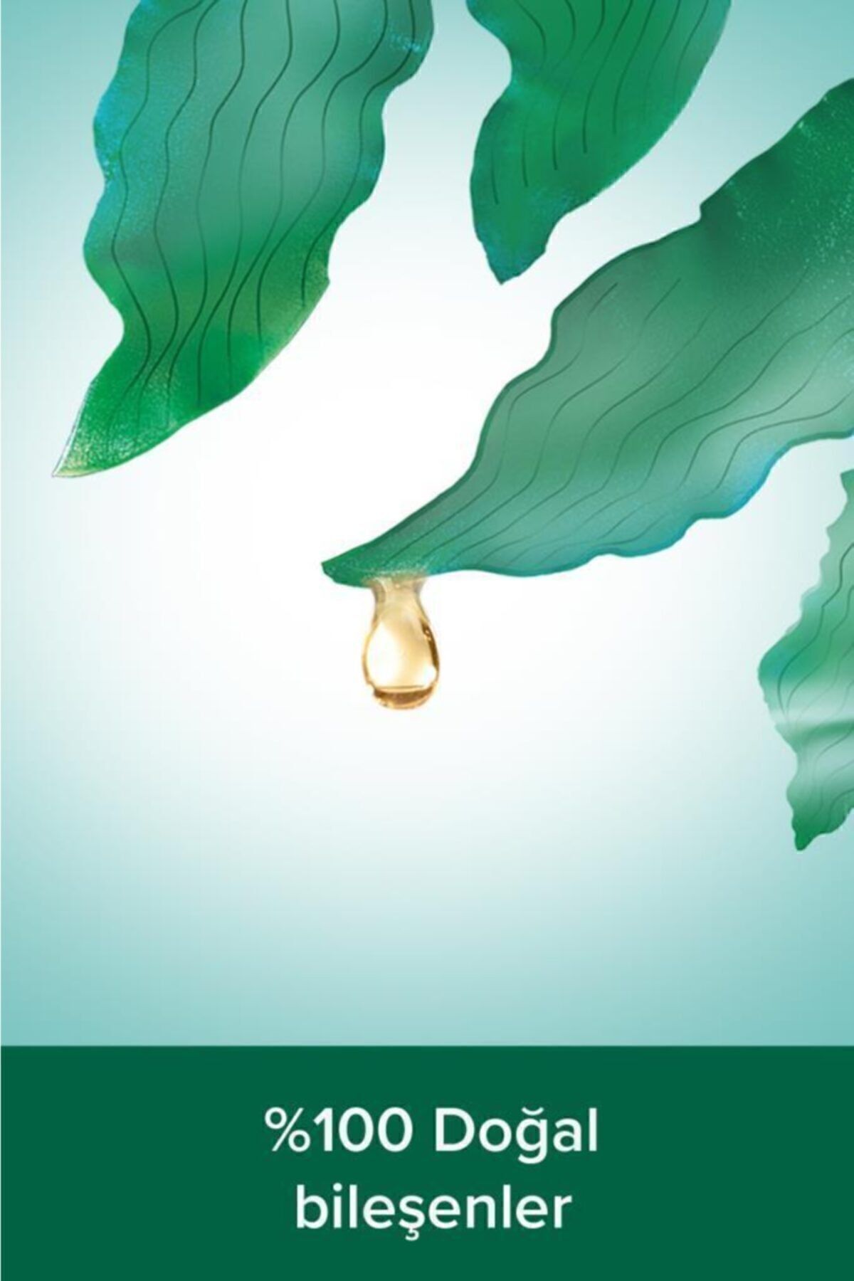 ژل و کرم دوش زنانه – مردانه  Palmolive | PKTPLMLVSOFRMX2 اورجینال - تصویر 4