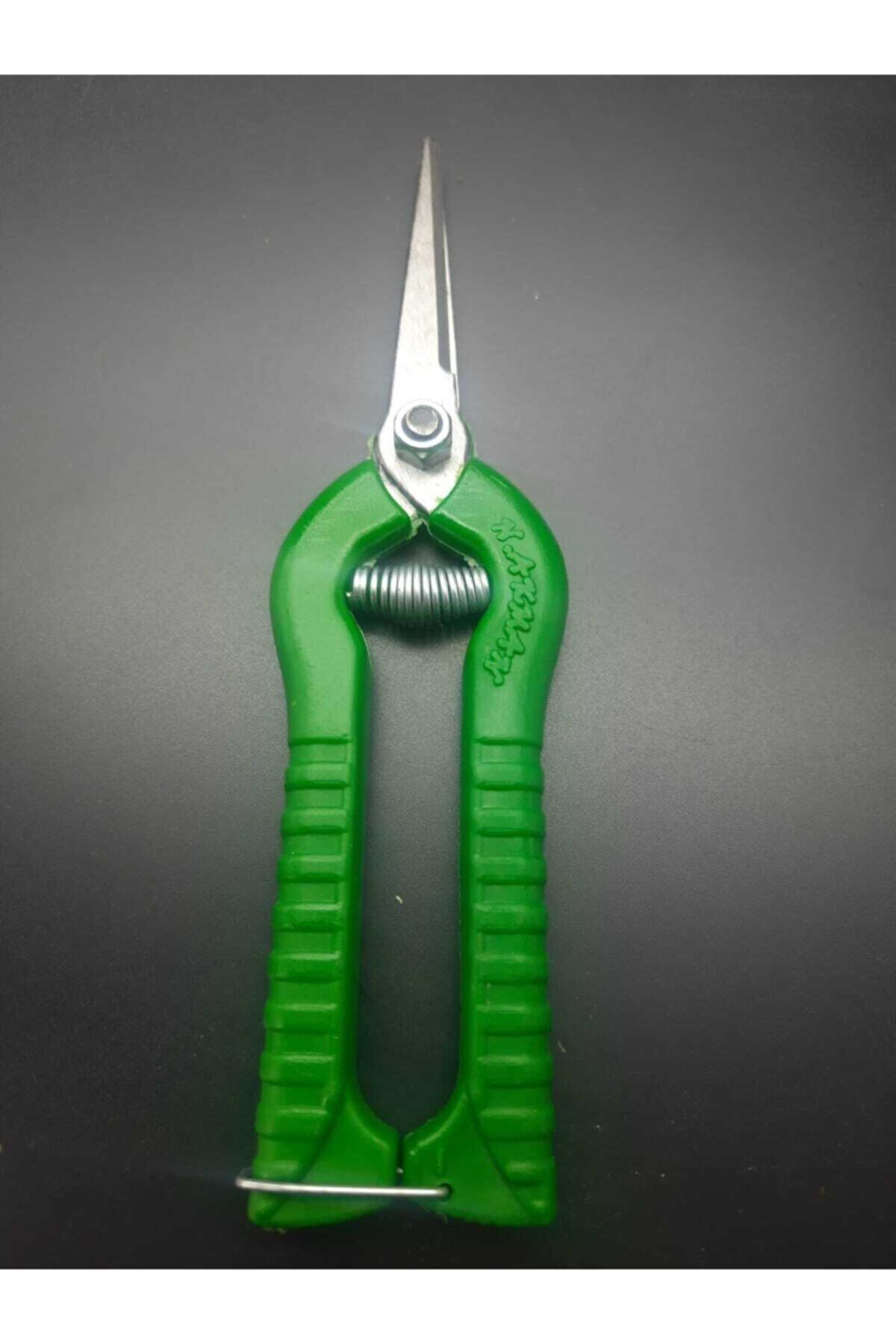 Akman-Grape Scissors 4