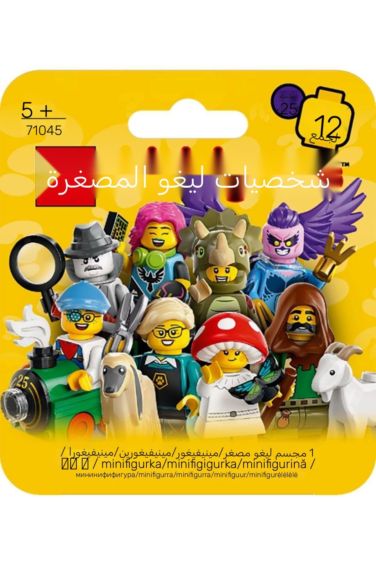 مینی فیگور سری ۲۵ ۷۱۰۴۵