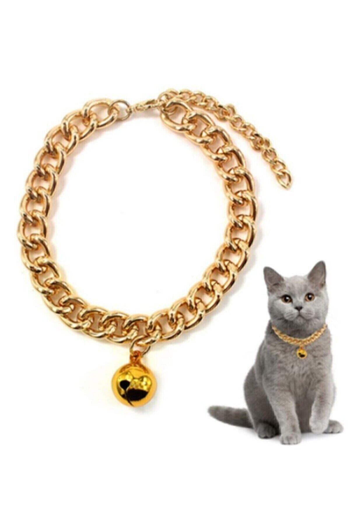Gold 28 Cm Lüx Kedi Ve Küçük Irk Köpek Kolye Tasması