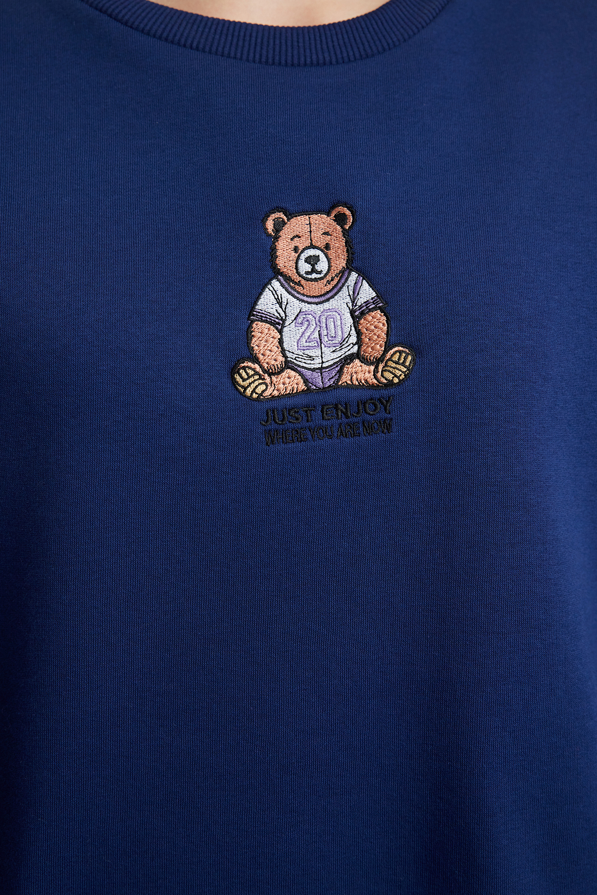 Trendyolmilla  Lacivert Regular/Normal Kalıp Nakışlı Kalın Örme Sweatshirt TWOAW25SW00050 - Görsel 4