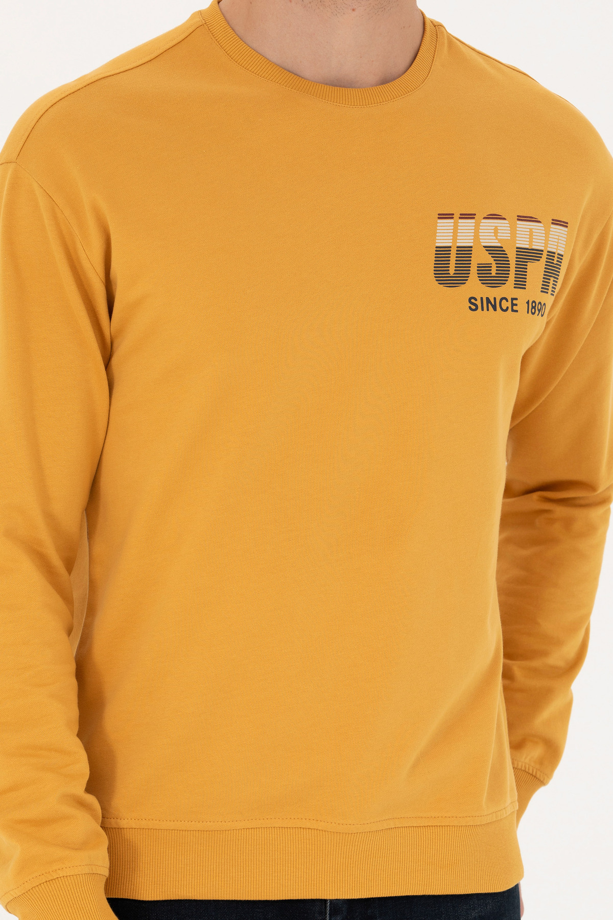 سویشرت مردانه یو اس پولو | 927327 U.S. Polo Assn. - Image 6