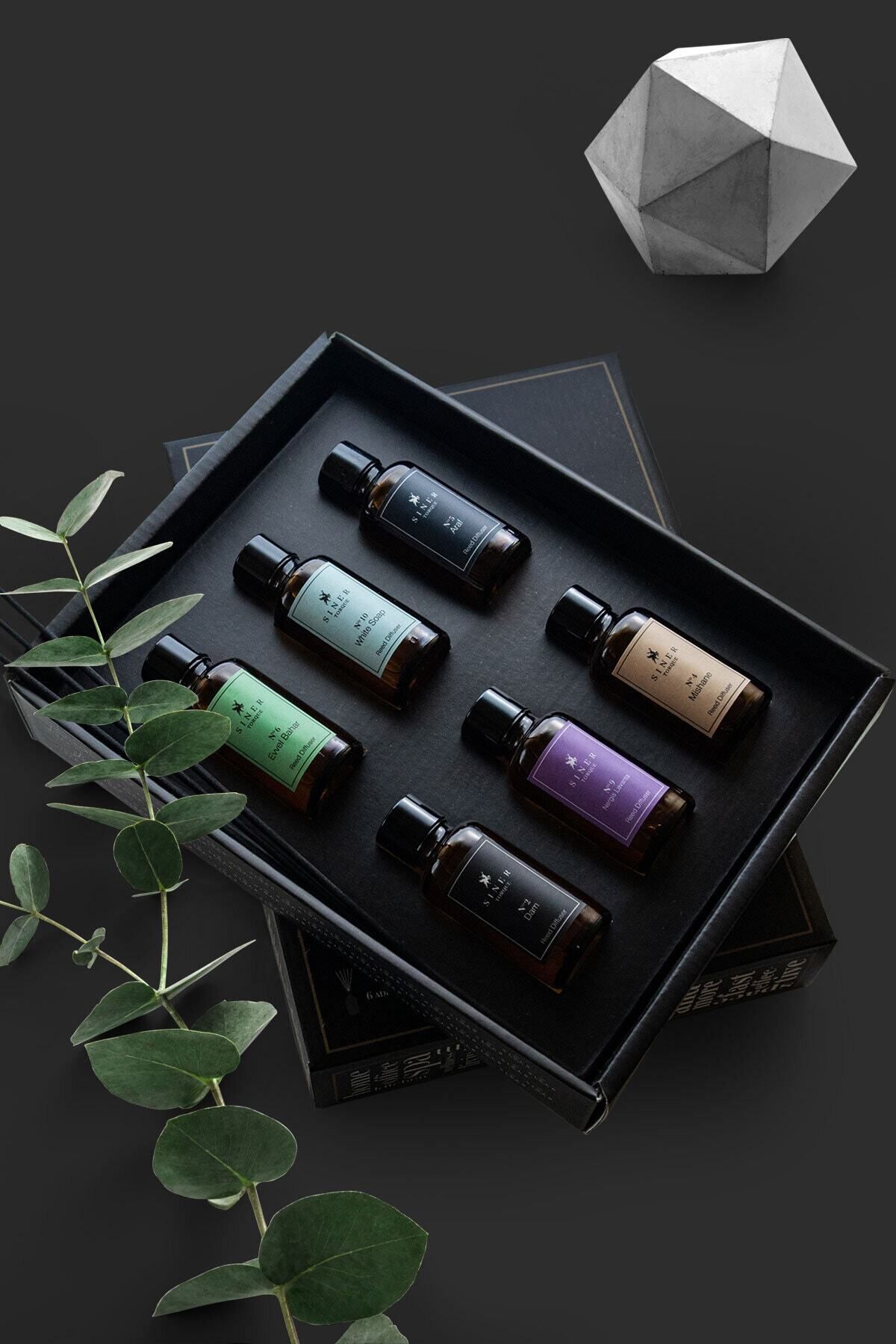 Reed Diffuser 6’lı Minimal Seri Bambu Çubuklu Oda Kokusu (Bambu Koku Set I)