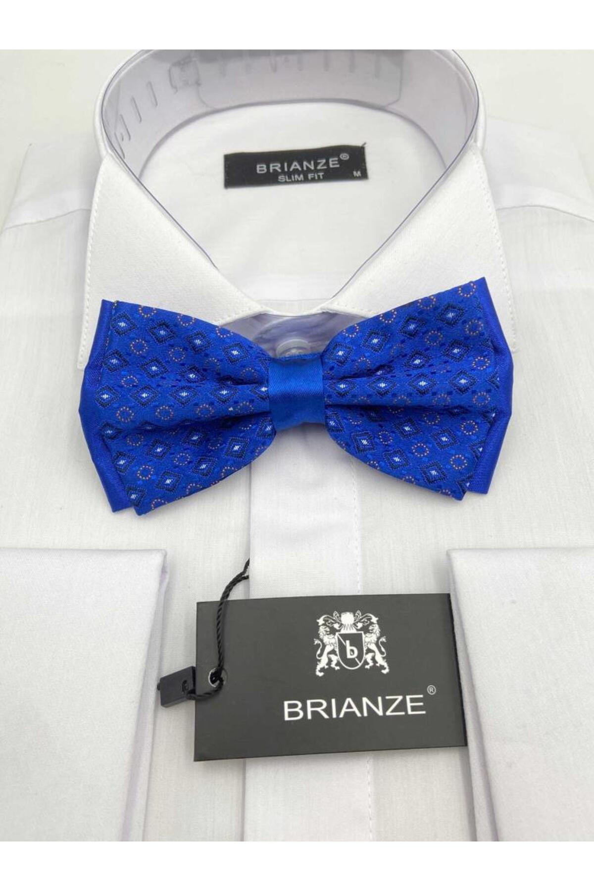  پاپیون آبی با جزئیات نارنجی