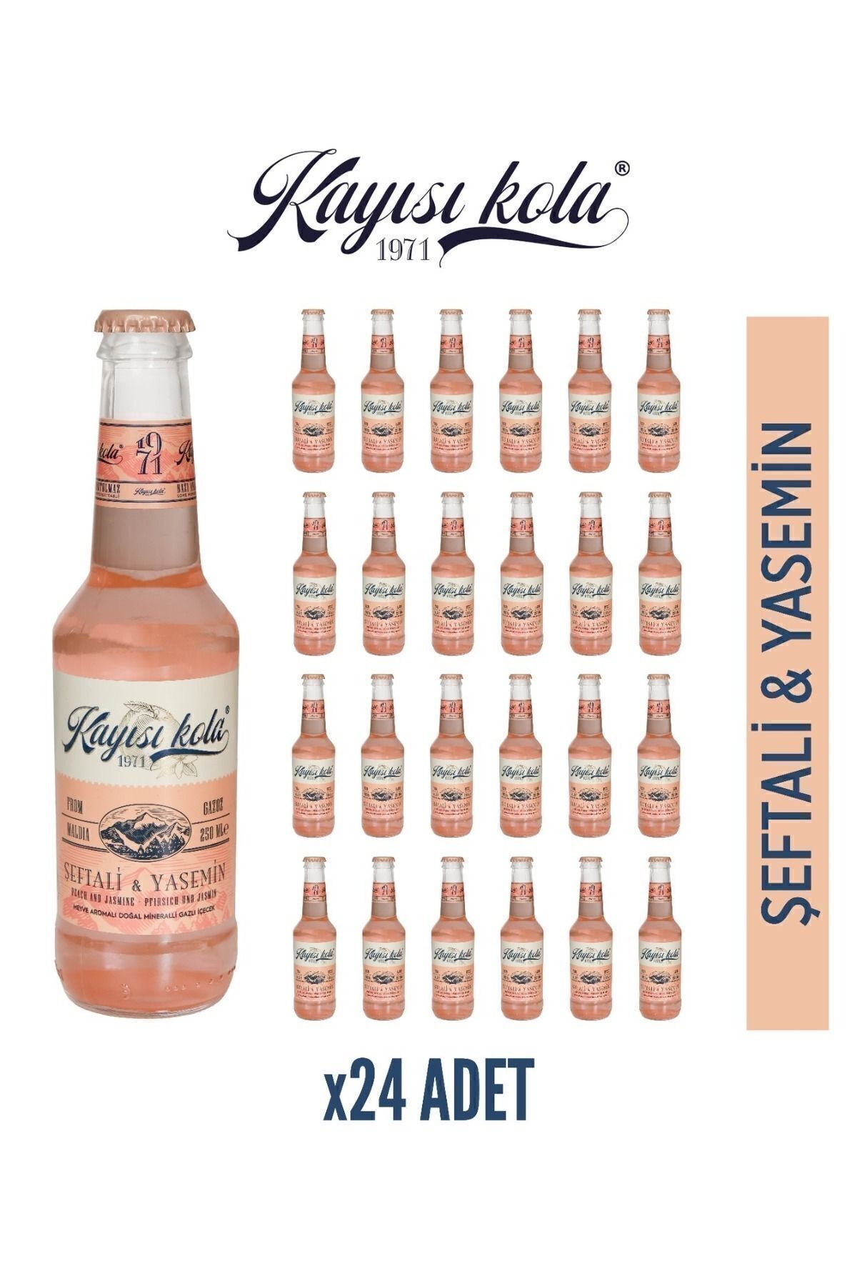 Kayısı Kola Doğal Mineralli Şeftali -yasemin Aromalı Gazlı Içecek 24 Adet