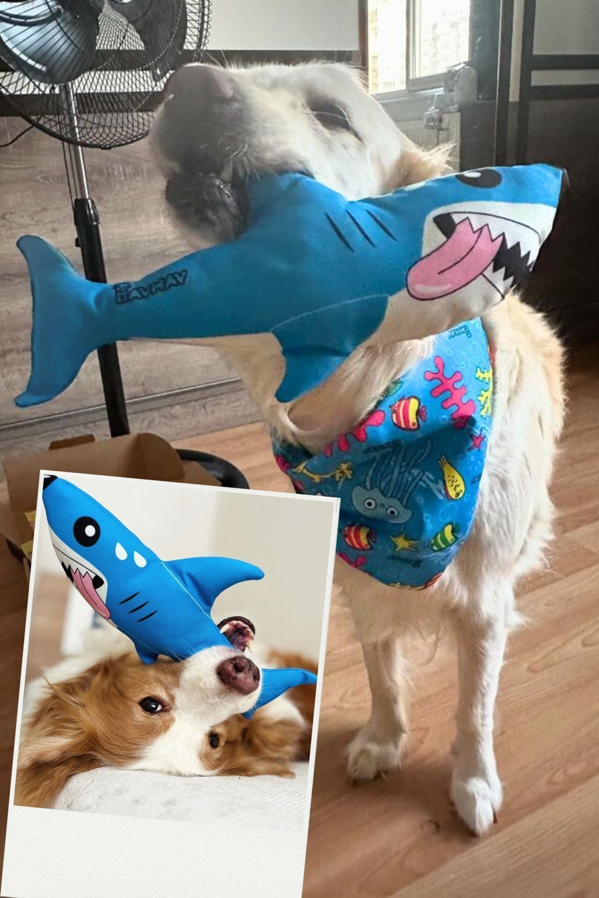 Havhav-Plush SharK - Seaside Pawn Themed, Vikvik Sound MaKing, Dog Sleeping Companion 6