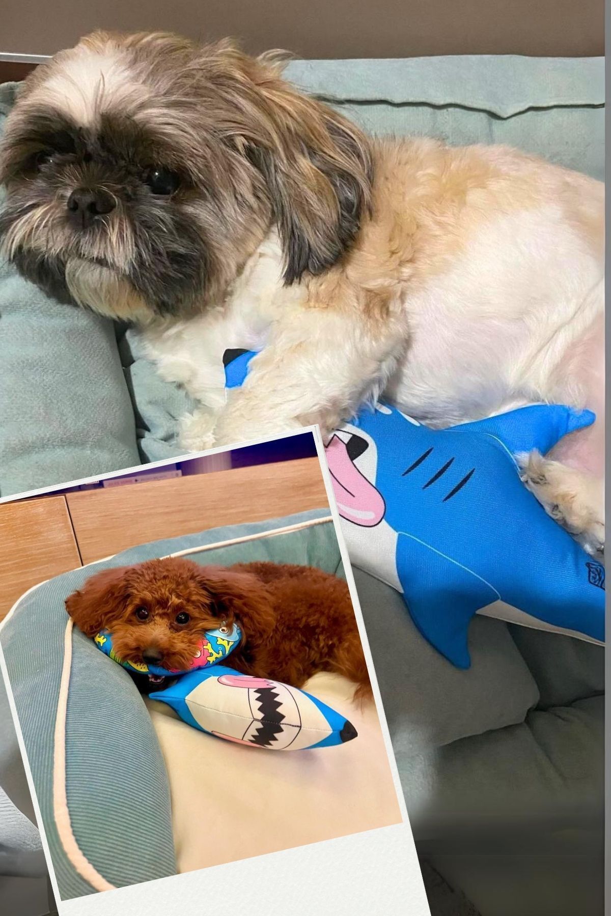 Havhav-Plush SharK - Seaside Pawn Themed, Vikvik Sound MaKing, Dog Sleeping Companion 4