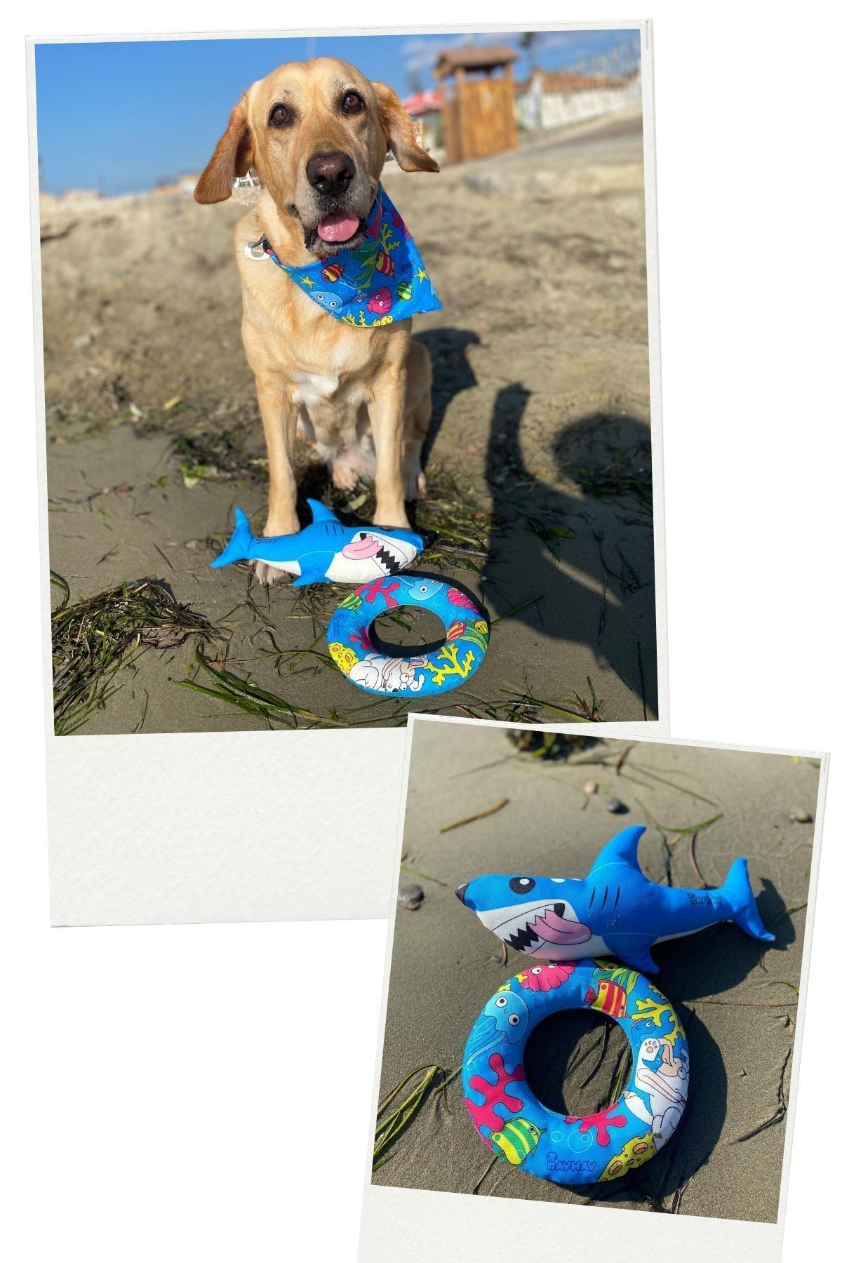 Havhav-Plush SharK - Seaside Pawn Themed, Vikvik Sound MaKing, Dog Sleeping Companion 2