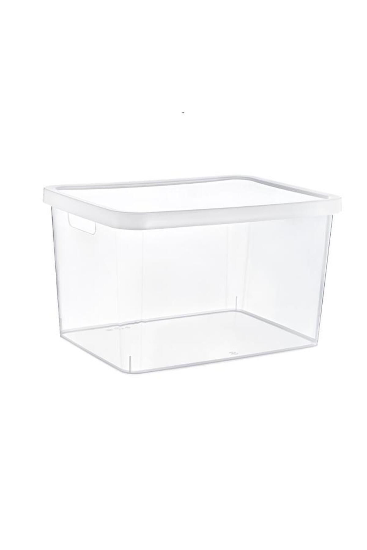 Smartware-Stafi Multi-Purpose Box with Transparent Lid 18 Lt 1