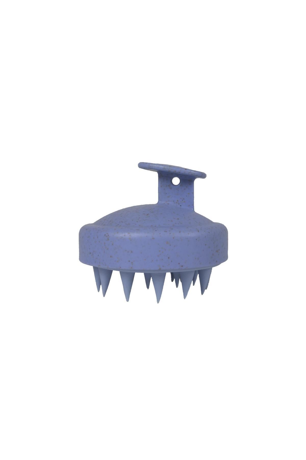 برس و شانه مو ناسکیتا NASFPRO00028BLUE