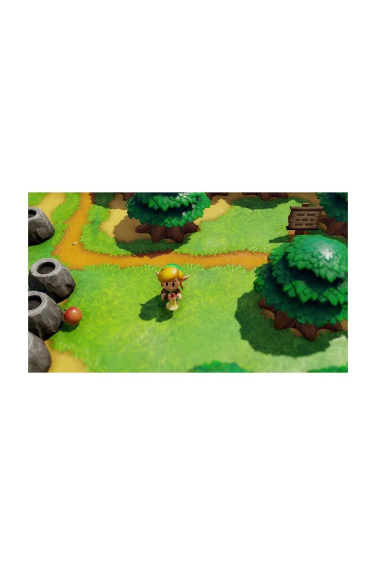 The Legend of Zelda: Link’s Awakening Switch Oyun 5