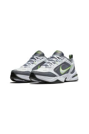Nike Ebernon Low Prem Erkek Gunluk Ayakkabi Aq1774 102 Trendyol