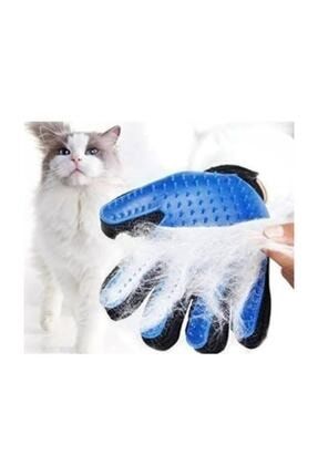aslan yelesi kep maskot kostum pet