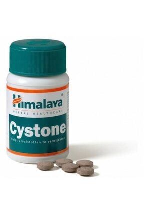 Cystone 60 Tablet 28