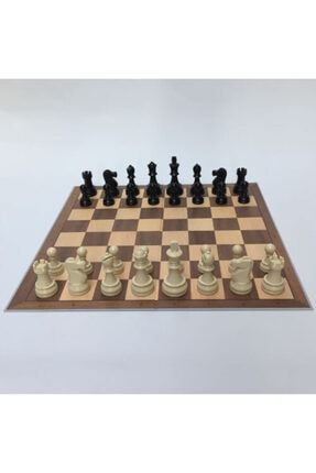 Dgt Chess Box Grey Eğitim Seti DGT-8