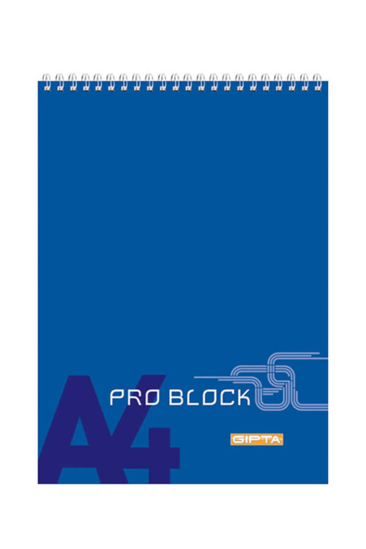 Gıpta-Pro Block Spr.a4 40yp.line Memo Pad 1397 1