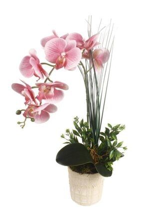 Yapay Çiçek Orkide Seramik Saksıda Pembe Islak Orkide ty845152-54