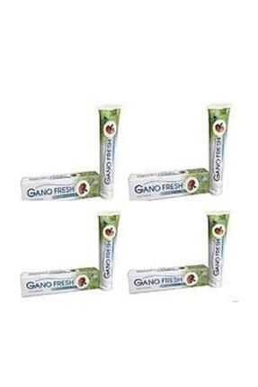 Gano Reishi Mantarli Fresh Dis Macunu 150 Gr Trendyol