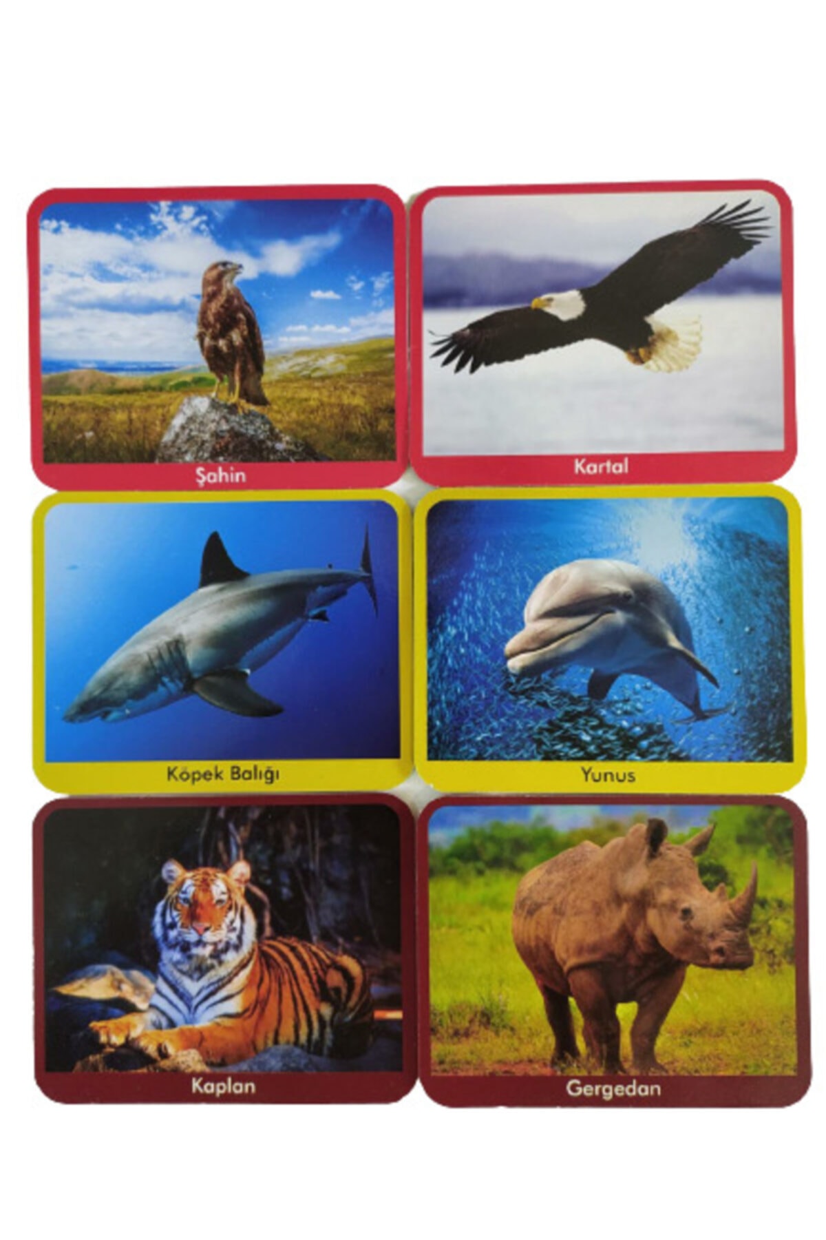 Zekice Ilk 50 Hayvan Eğitim Kartları Flash Cards fotoğrafı 2 (önizleme)