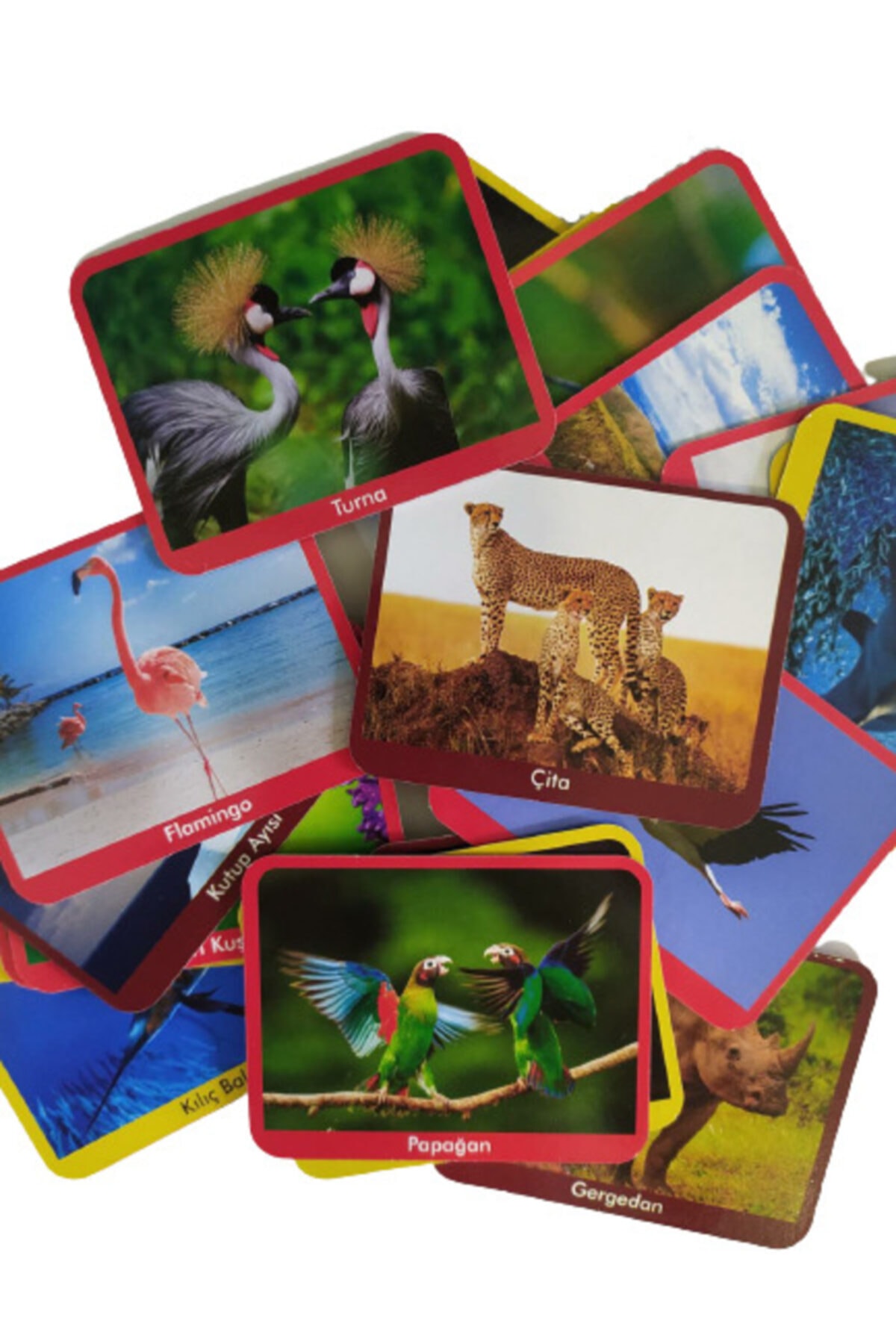 Zekice Ilk 50 Hayvan Eğitim Kartları Flash Cards fotoğrafı 3 (önizleme)
