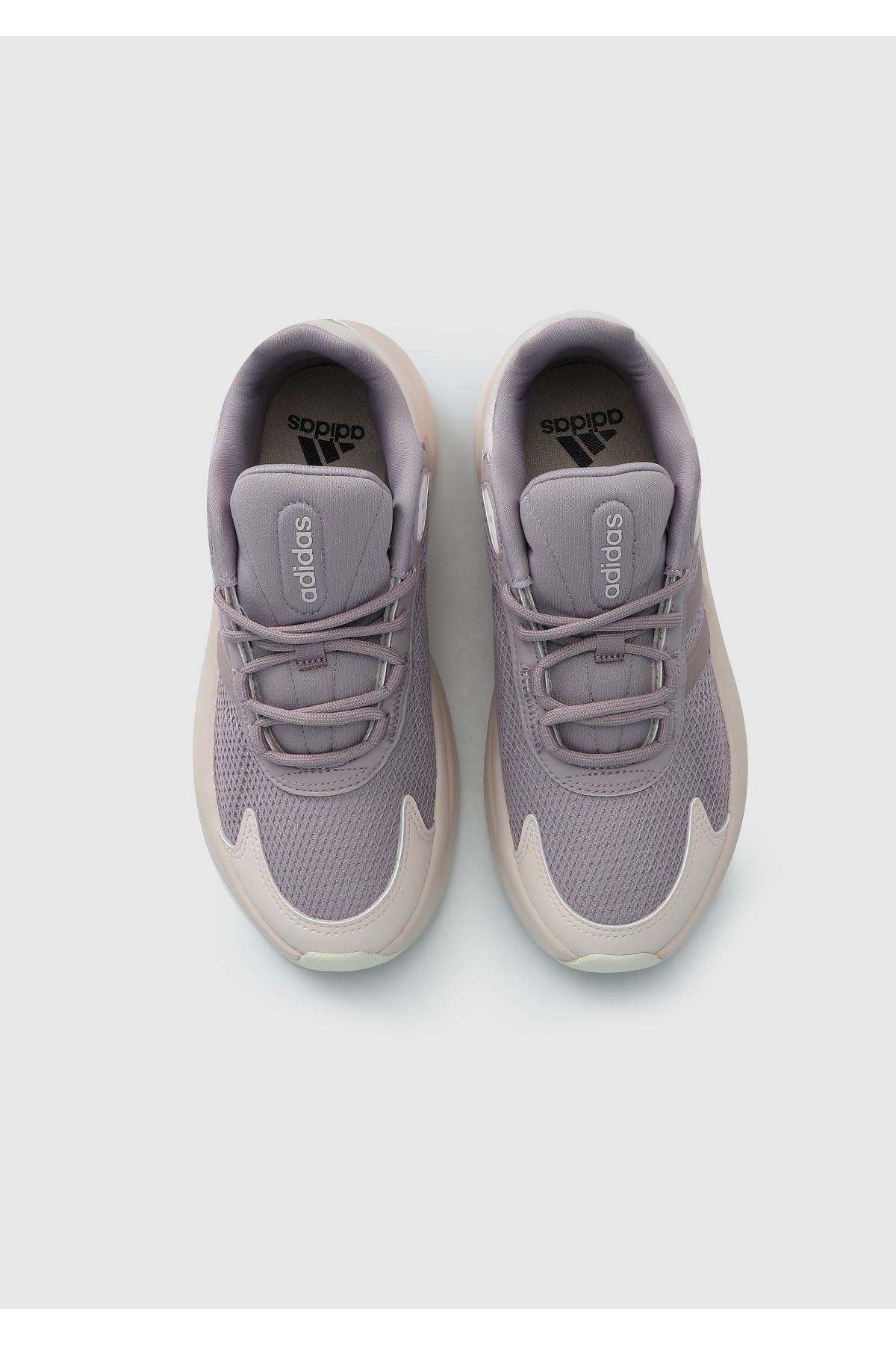 کفش پیاده روی صورتی زنانه Ozelle Pink رانینگ IG6418 adidas