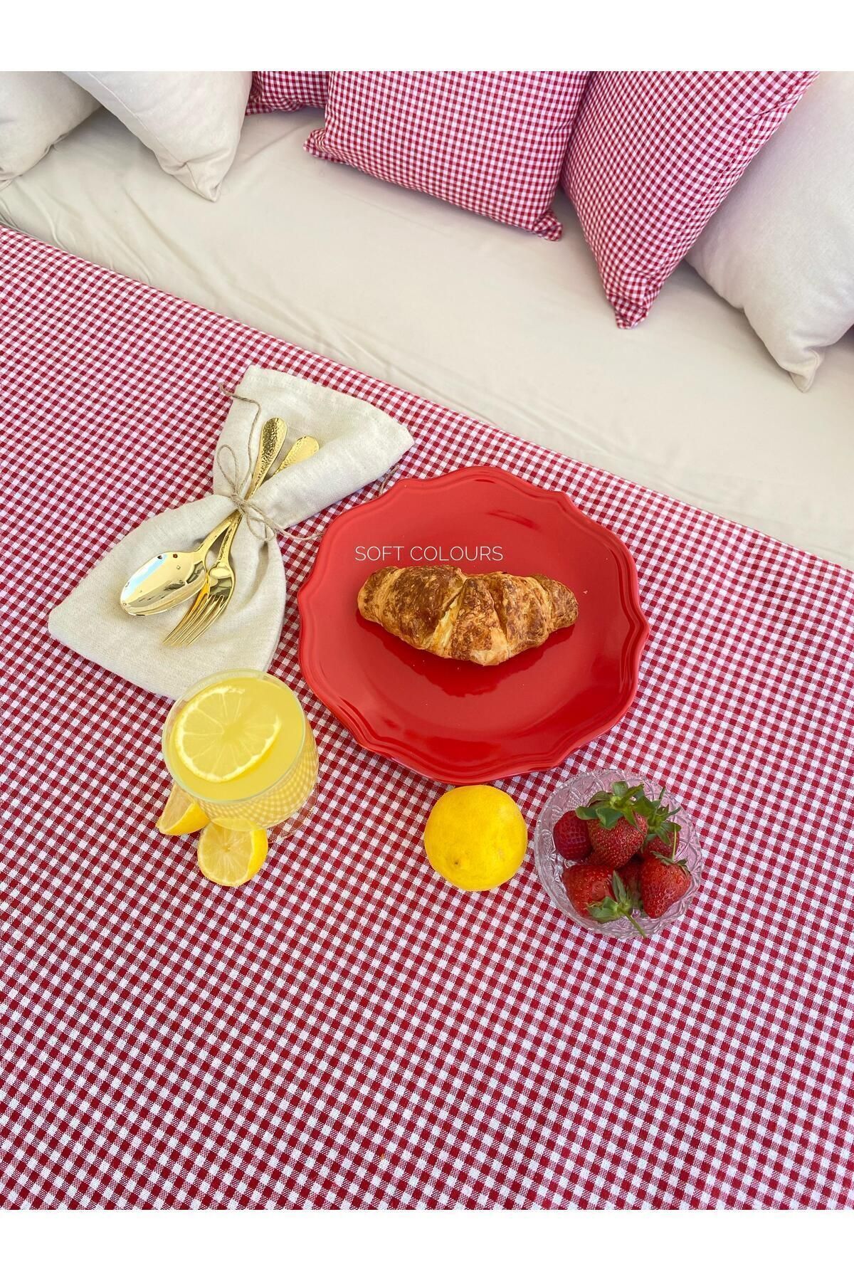 Soft Colours-Authentic Retro Red Gingham Picnic Cloth and 4 Cushion Set Balcony Set 3