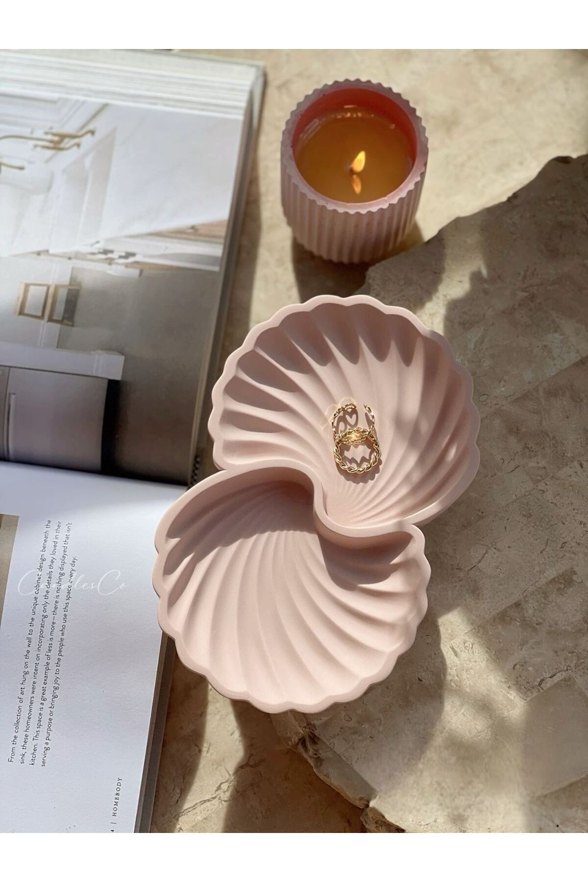 Double Compartment Seashell , Decorative Plate , Object , Jewelry Plate