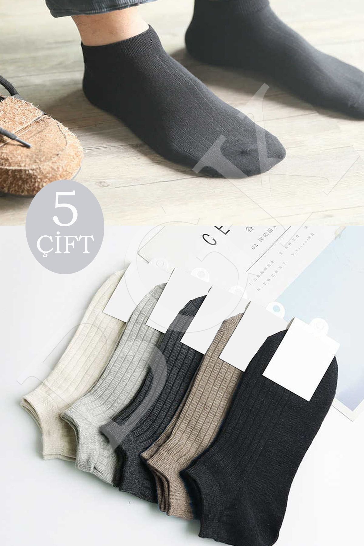BGK  Unisex 5'li Yazlık Renkli Çorap