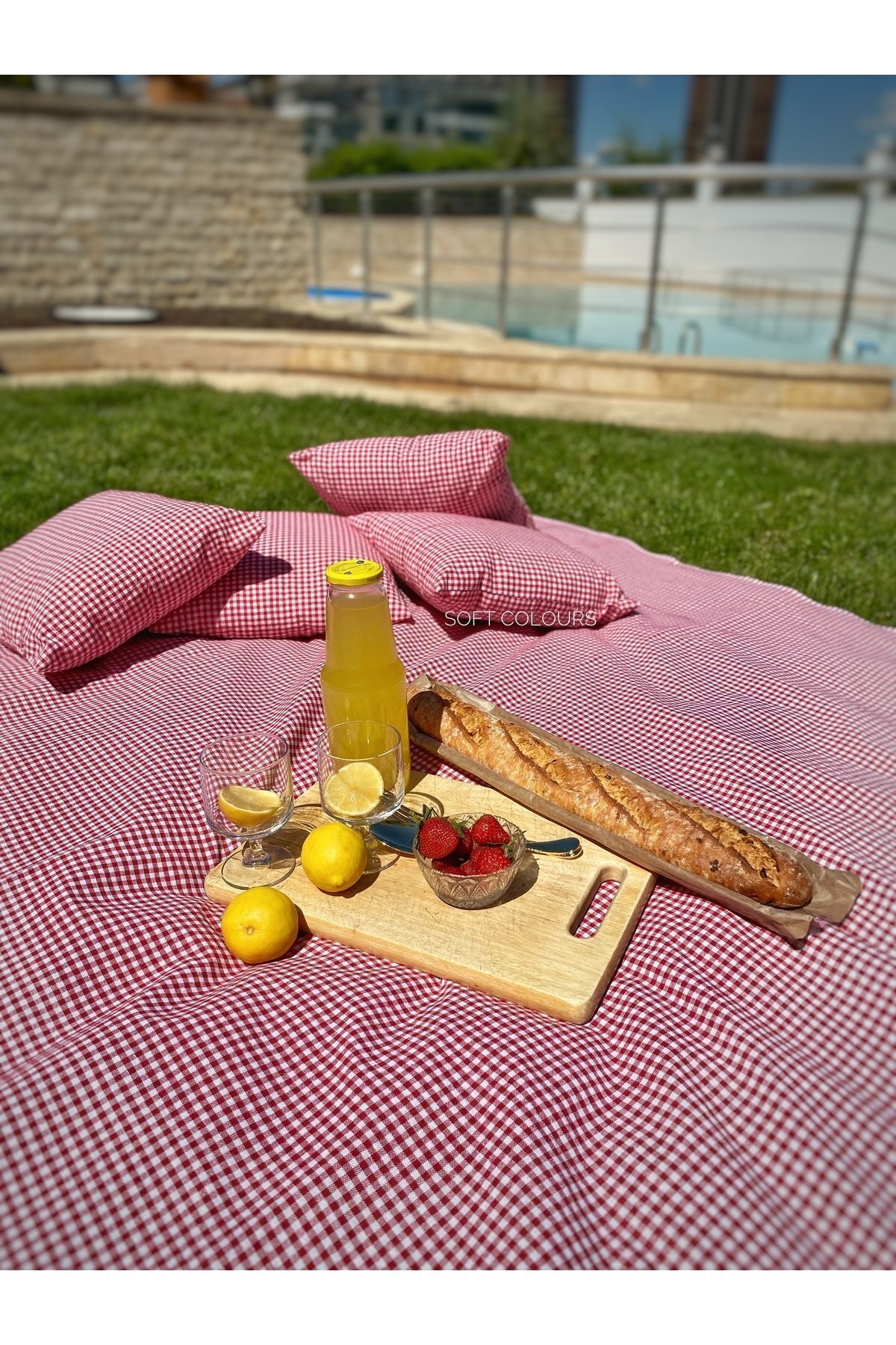Soft Colours-Authentic Retro Red Gingham Picnic Cloth and 4 Cushion Set Balcony Set 2