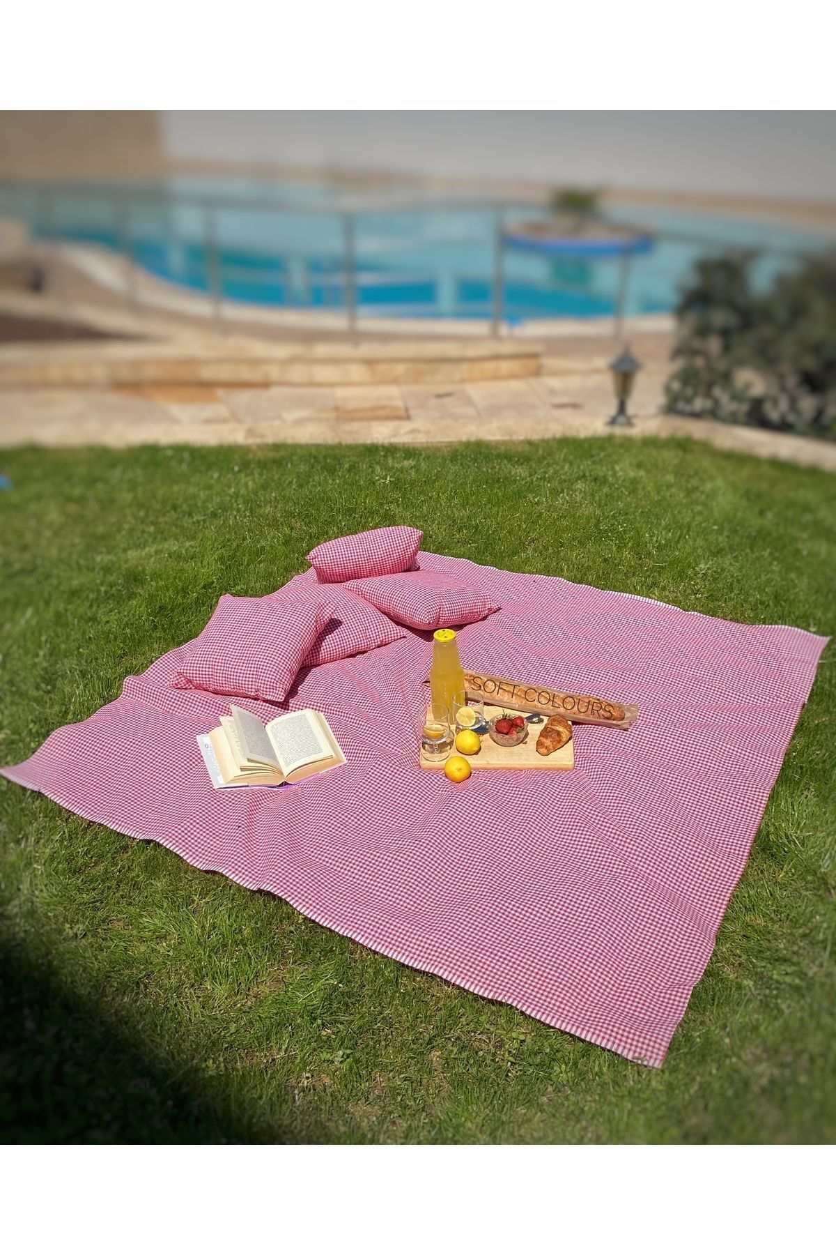 Soft Colours-Authentic Retro Red Gingham Picnic Cloth and 4 Cushion Set Balcony Set 4