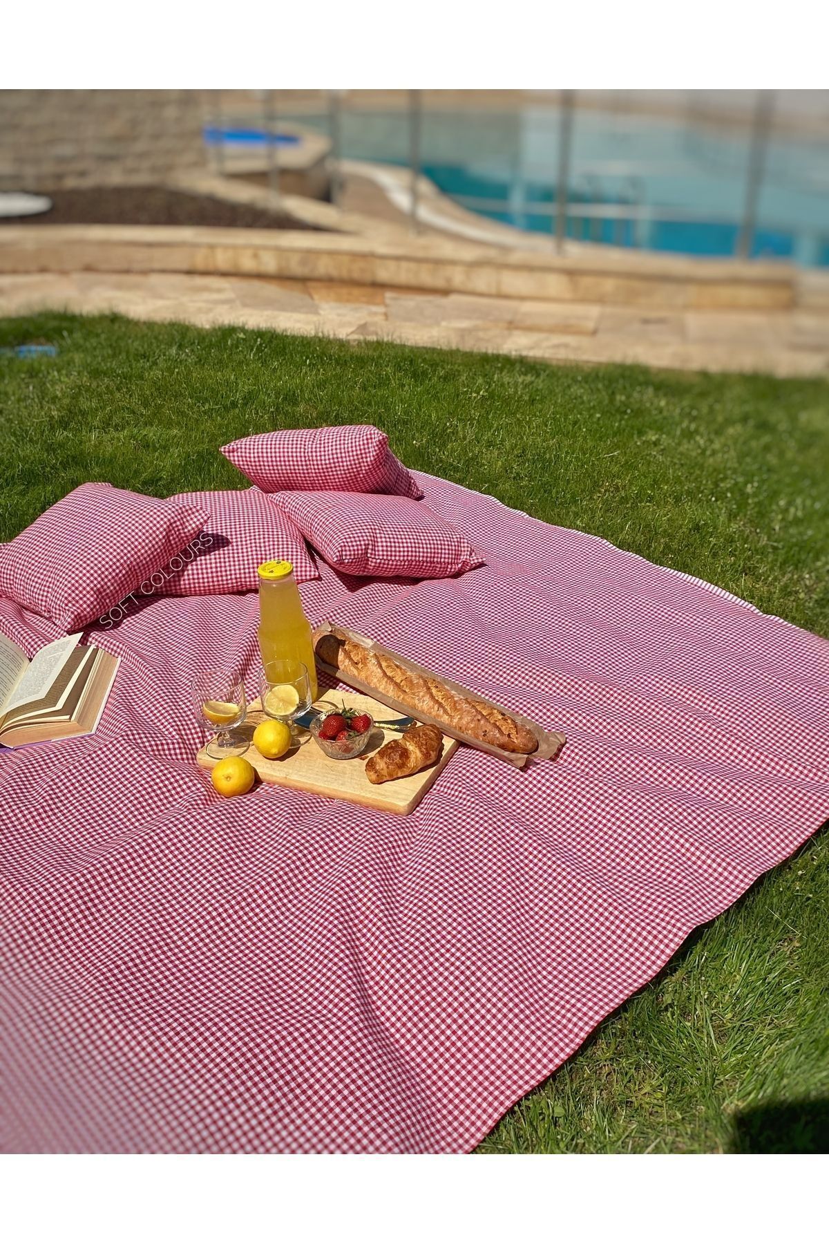 Soft Colours-Authentic Retro Red Gingham Picnic Cloth and 4 Cushion Set Balcony Set 5