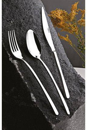 TEC-X Carla 84 Parça Çatal Kaşık Bıçak Seti Saklama Kabı Hediyeli