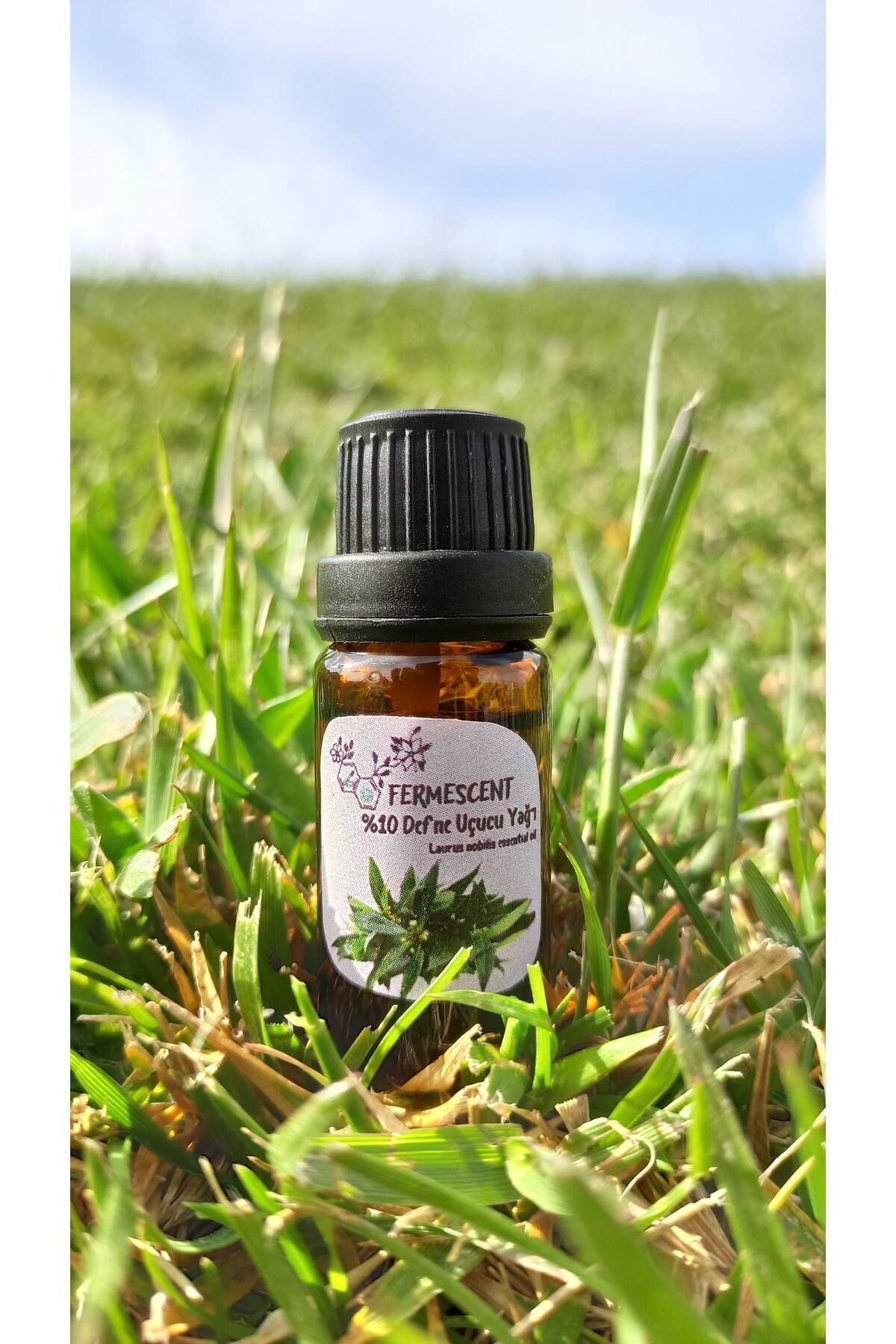 10٪ روغن خلیج خالص - مراقبت از پوست سر 10 میلی لیتر Fermescent