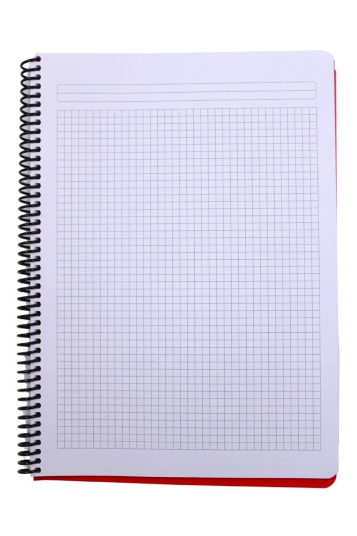 Mynote-Flex A4 140 Sheets Checked Spiral Plastic Cover Notebook 6