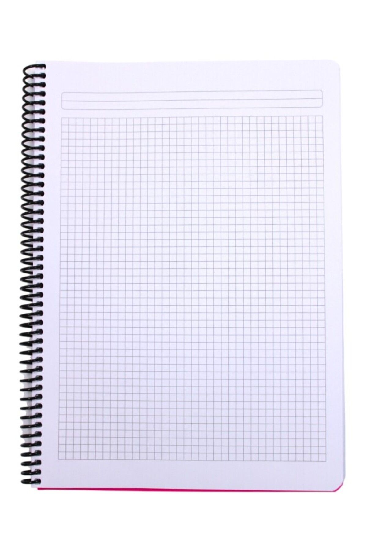 Mynote-Flex A4 140 Sheets Checked Spiral Plastic Cover Notebook 6