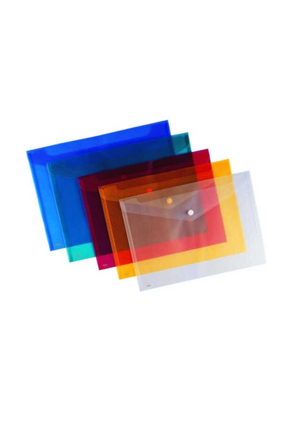 Piano-Snap File Colored Transparent Çtd-02 4