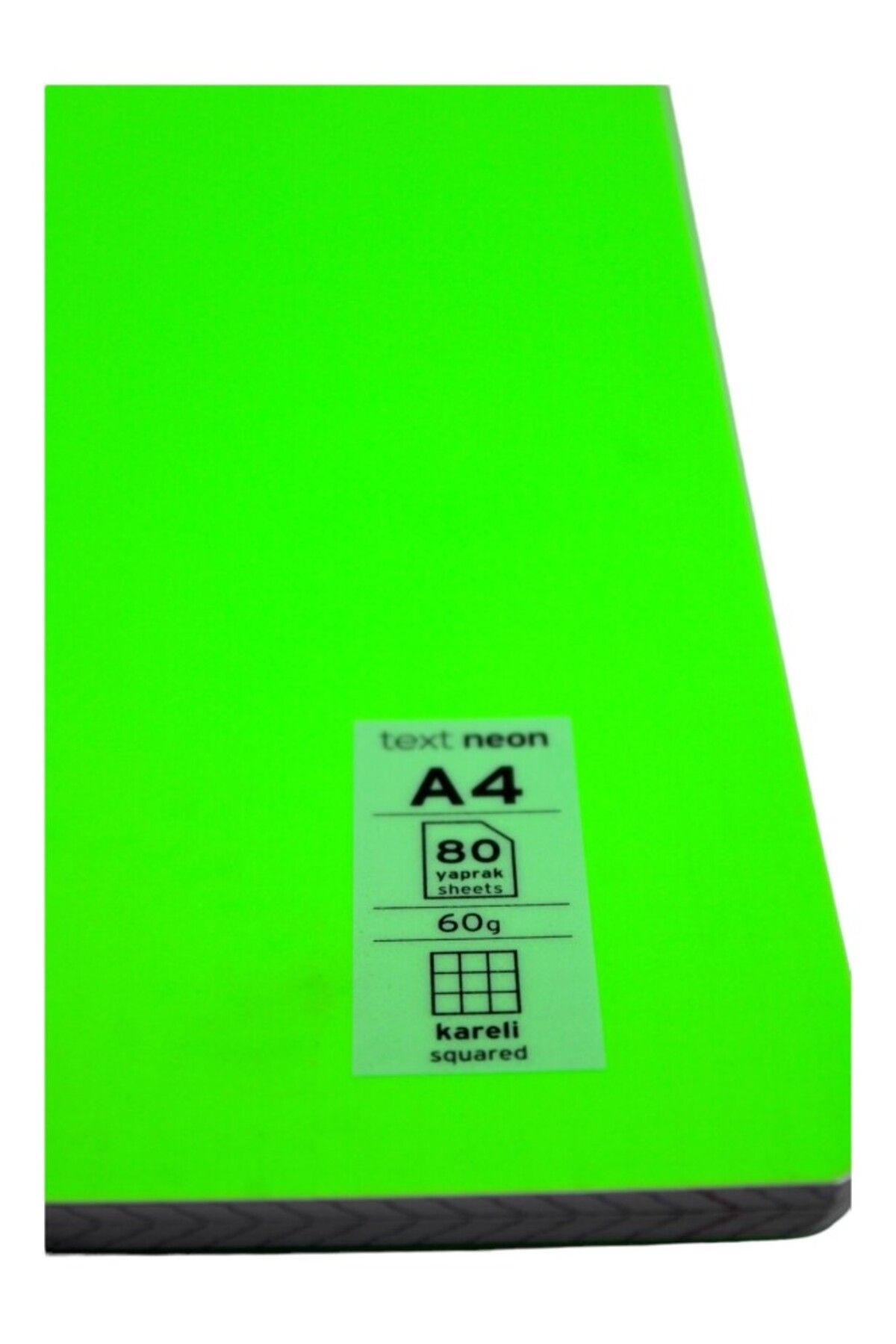 Mynote-Neon A4 80 - Leaf Checkered Plastic Notebook 3
