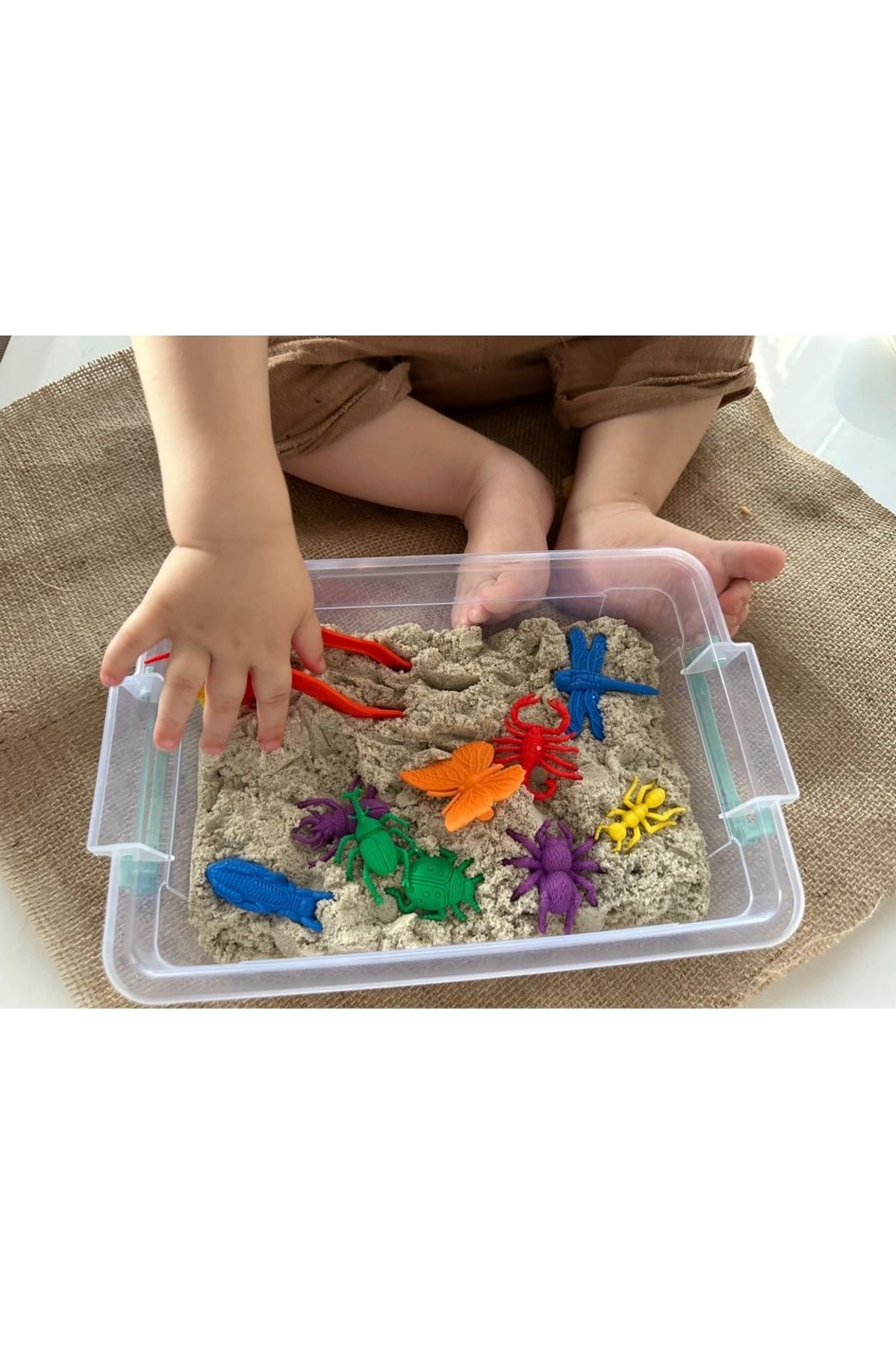 EDX Bahçe Böcekleri Aktivite Kutusu