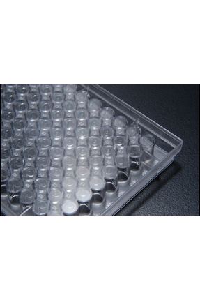 SPL Hücre Kültürü Plakası, PS, 96 yuvalı, Düz Tabanlı, Steril 5 Adet
