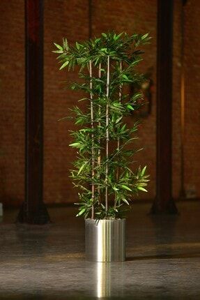 Yapay Ağaç Gümüş Metal Saksıda 4'lü Bambu 180 Cm Kc00300059 KC00300059