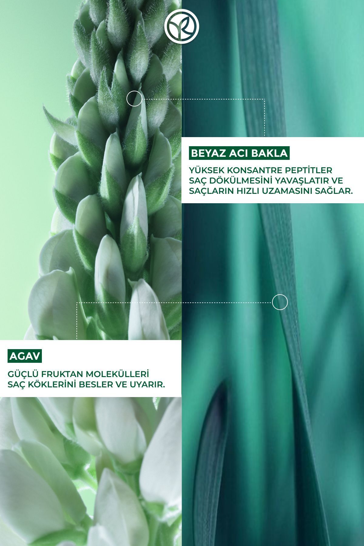 Saç Dökülmesine Karşı (anti-chute) Güçlendirici Prebiyotik Şampuan - Vegan-300 Ml