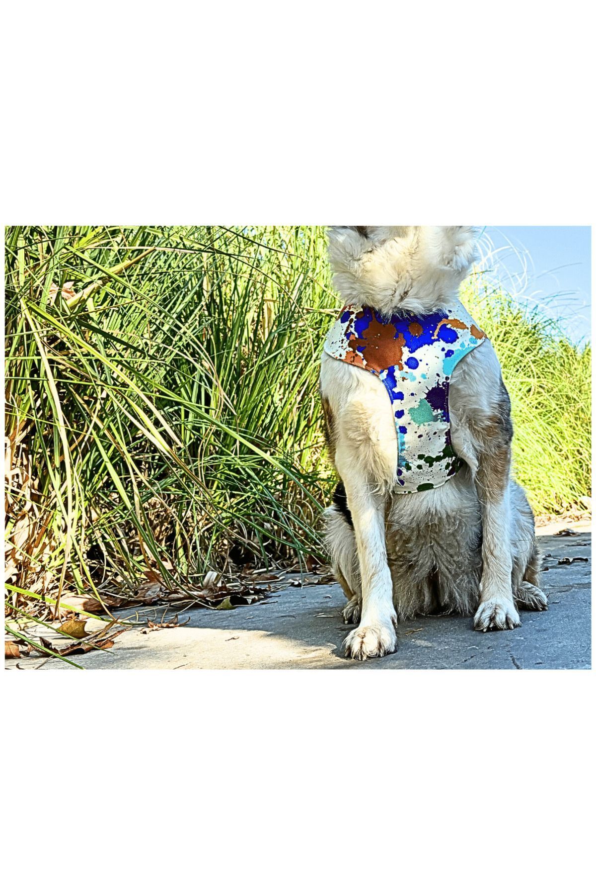 GoPawGo-Rio Soft Dog Chest Collar 3